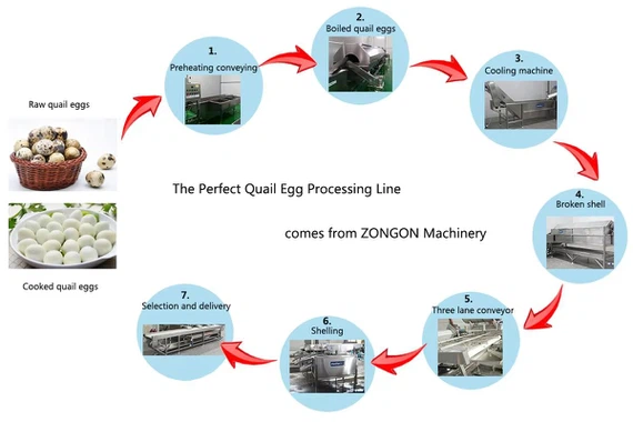 product-1200-800 product-1200-800